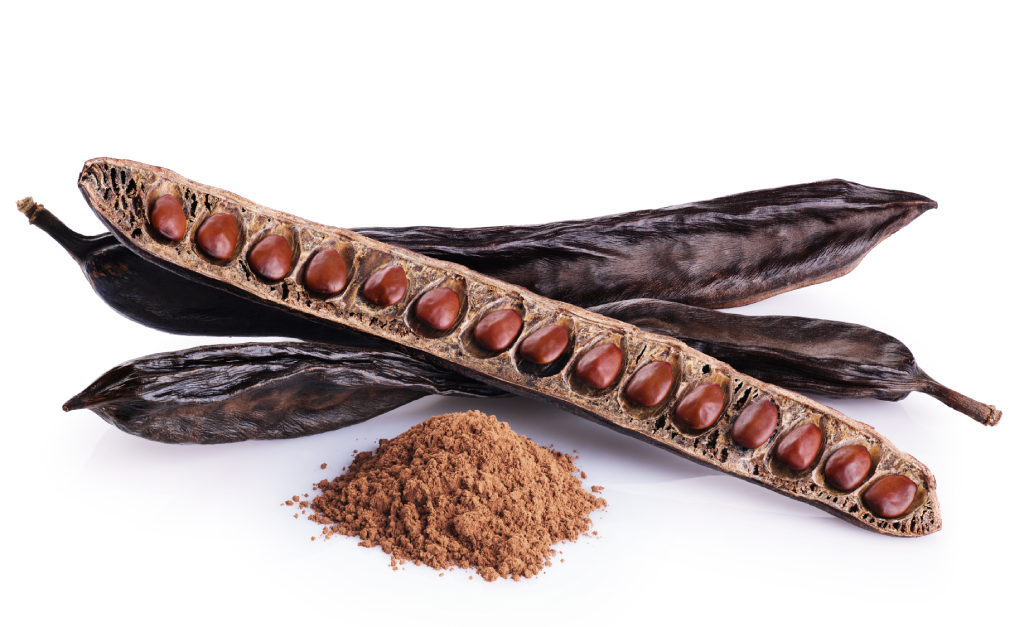 Кэроб - это перемолотые в порошок стручки рожкового дерева. Фото: из открытых Интернет-источников