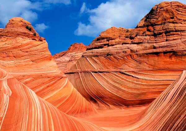 Аризонская волна, США