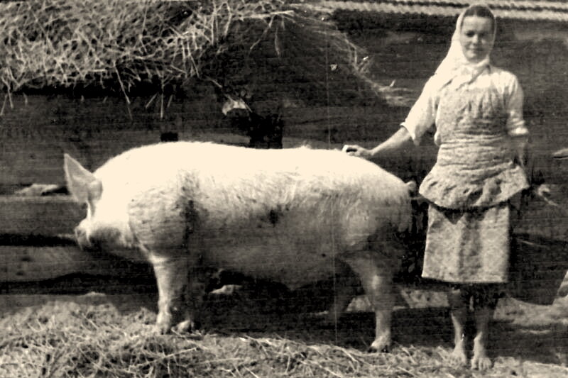 Христианам тоже нельзя есть свинину