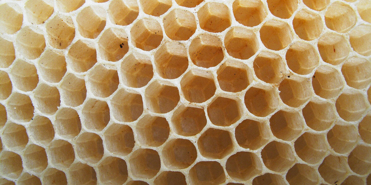 Фотография: Christophe Lehenaff / GettyImages.ru