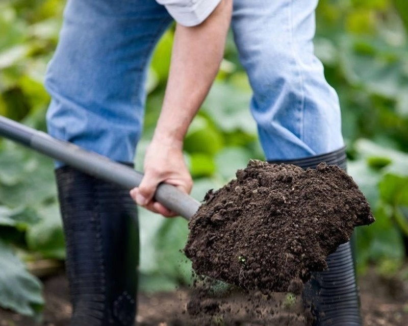 Источник фото https://www.instagram.com/p/B3UaBY-H9pT/