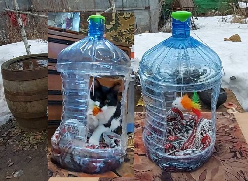 Кот из пластиковой бутылки - картинки и фото luchistii-sudak.ru