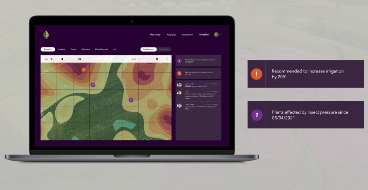 Иллюстрация InnerPlant.