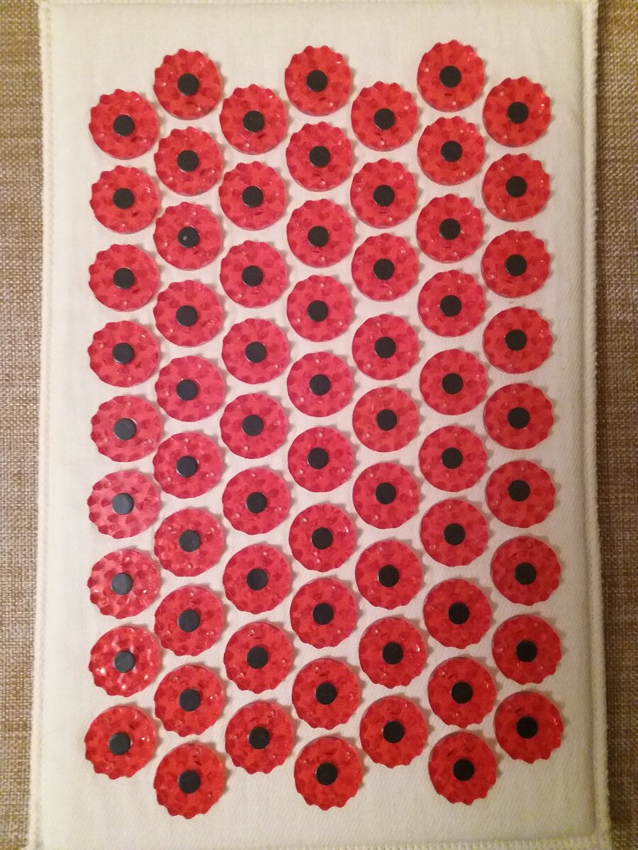 Мой игольчатый спаситель. Фото из личного архива автора