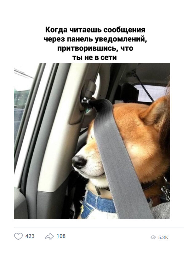 Даже у самых стойких порой появляется желание не читать личку.