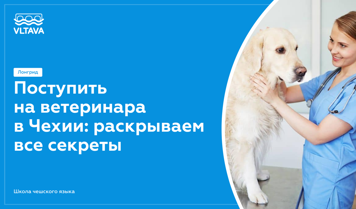 Что нужно сдавать ветеринару после 9 класса. Сколько получает ветврач в Москве. Что нужно сдавать чтобы поступить на ветеринара.