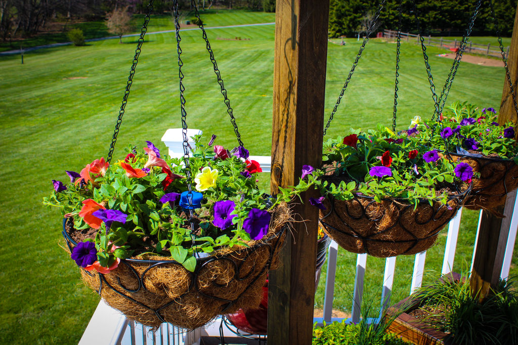 https://img.gwsigeps.com/img/workshop/hanging-basket-column-11.jpg