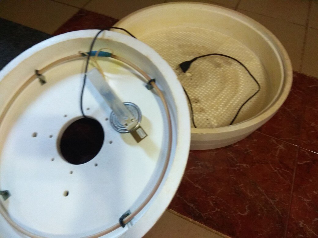 Простейший инкубатор. Из автоматики только поддержка заданной температуры.