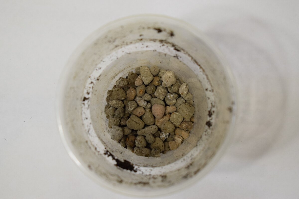 дренаж в стакане(фото автора)