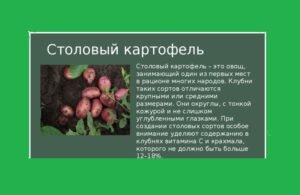 Характеристика столового картофеля.