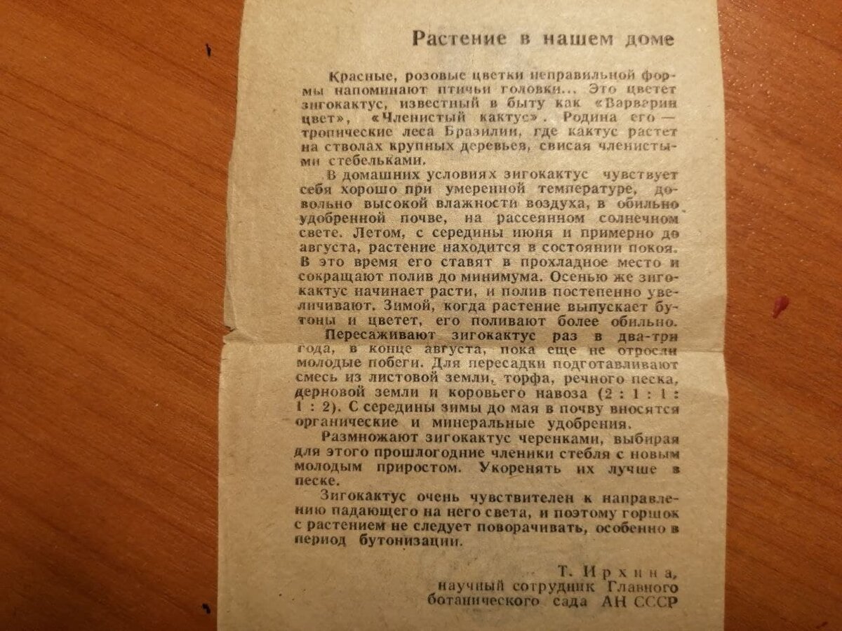 Советы по уходу за декабристом из отрывного календаря 1983 года от научного  сотрудника Ботанического сада | ВСвете | Дзен