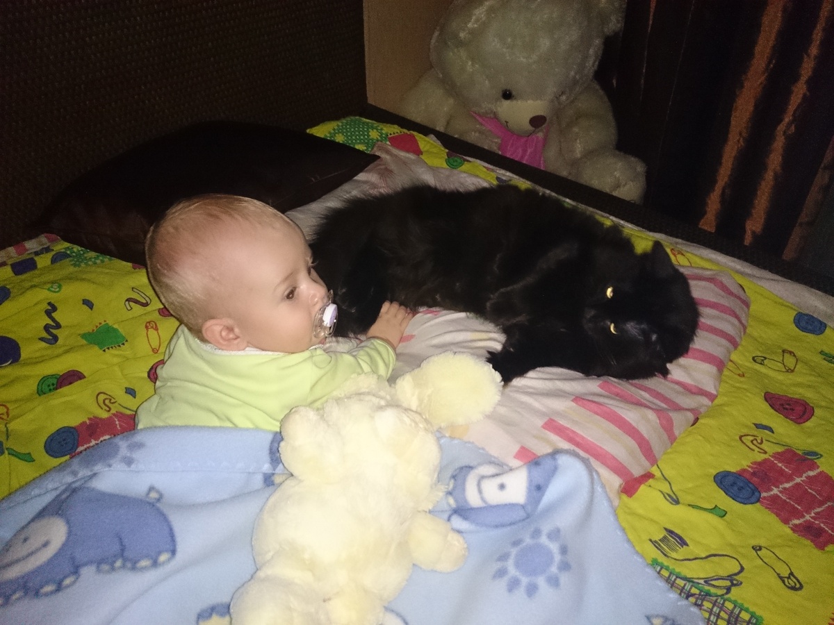 Лучшие друзья