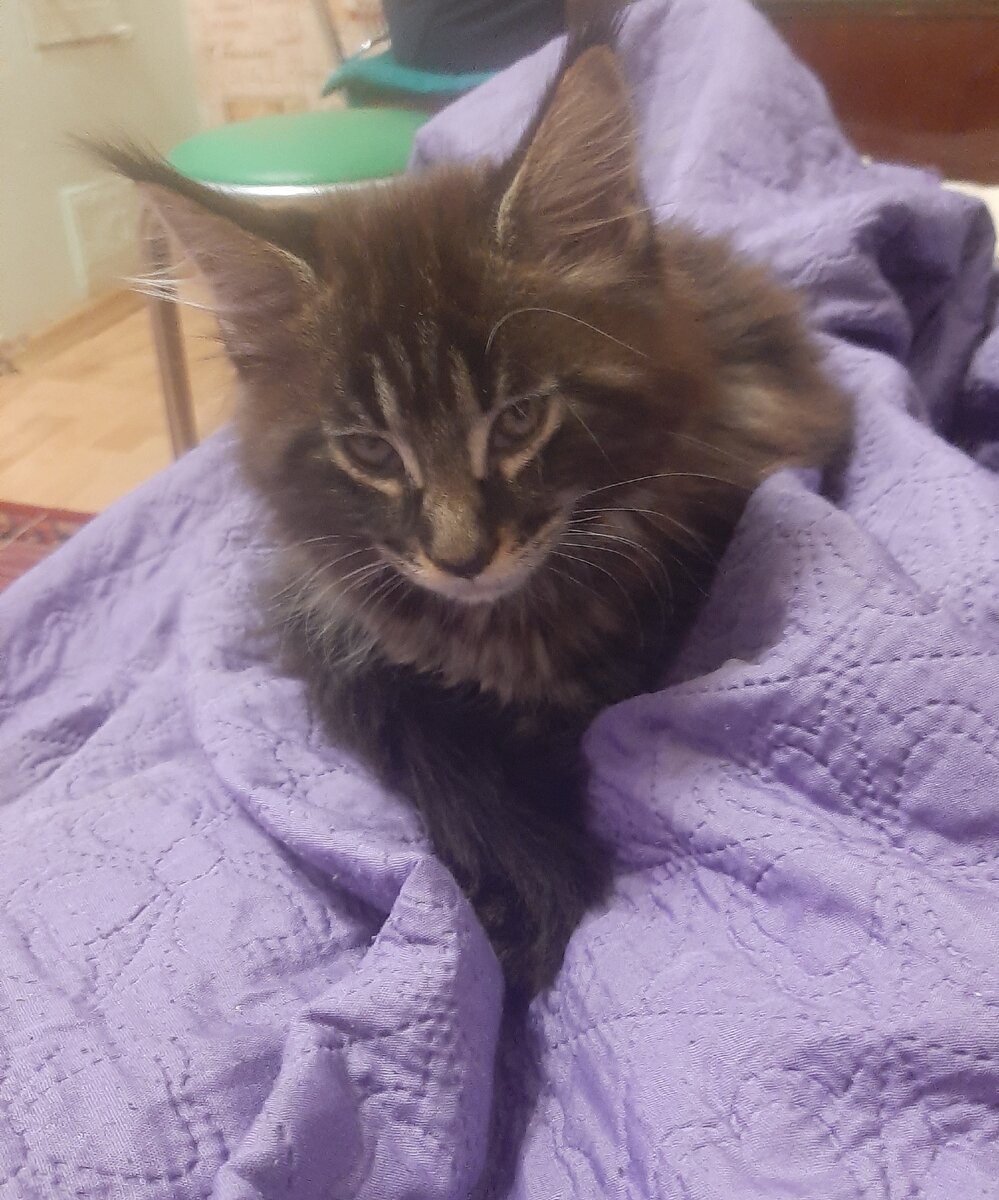 Греция 3 месяца