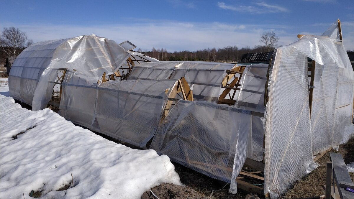 Поврежденная теплица, вид сбоку