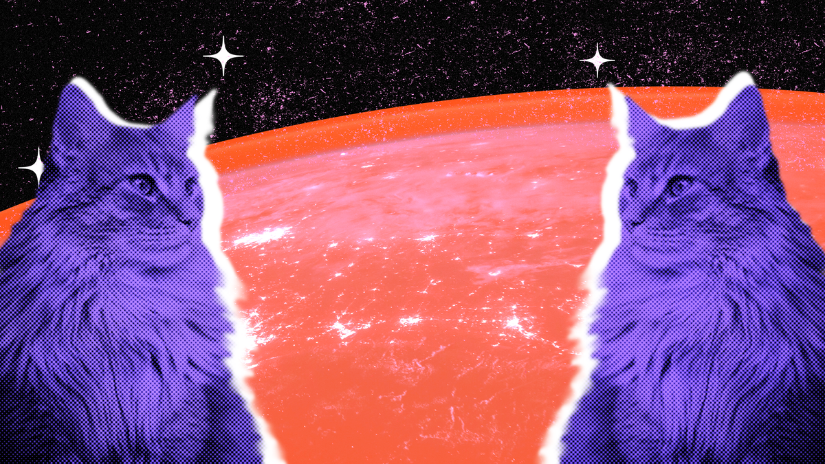 Иллюстрация Марии Соколковой