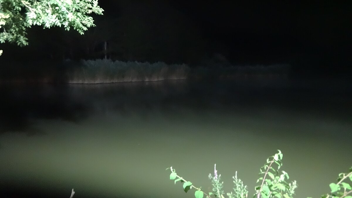 Фото автора. "Постоянный свет", где всю ночь клюёт.