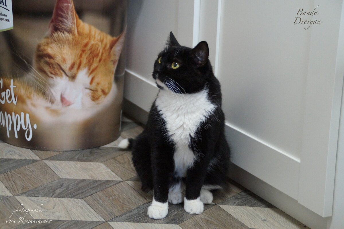 Многие сразу обращают на нее внимание. Она умеет "зацепиться" взглядом;)