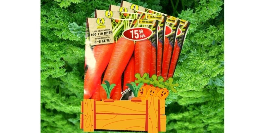 Источник https://www.canva.com/ покупные ленты по 5 метров