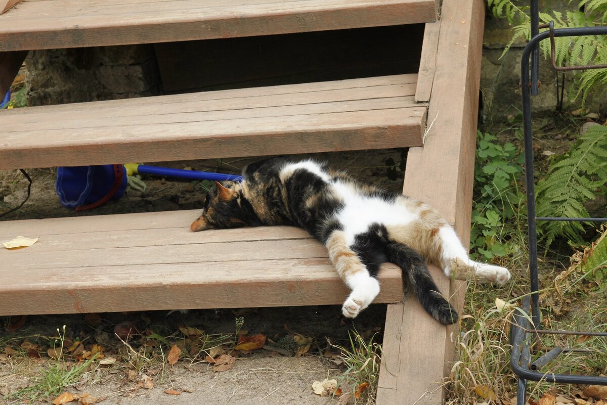 Ходите осторожней! Фото автора