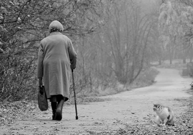 Фото Яндекс картинки.