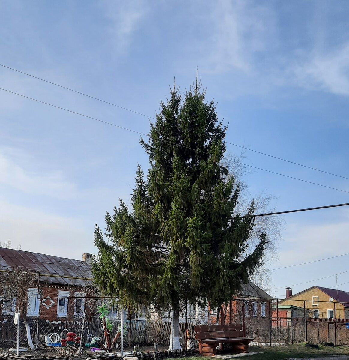 Тамбовская область