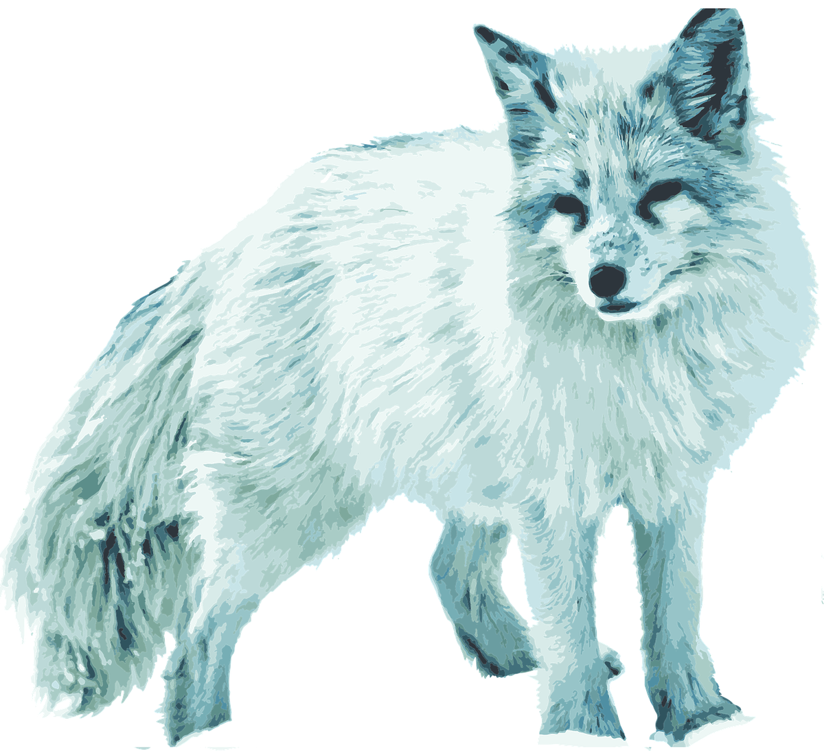 Лисица. Коллаж.  Ох, и хитрая!   Источник  - изображение Victoria Ratcliffe с сайта Pixabay 