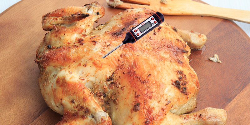 Курица и термощуп. Изображение Wow Phochiangrak с сайта Pixabay, Pixabay License