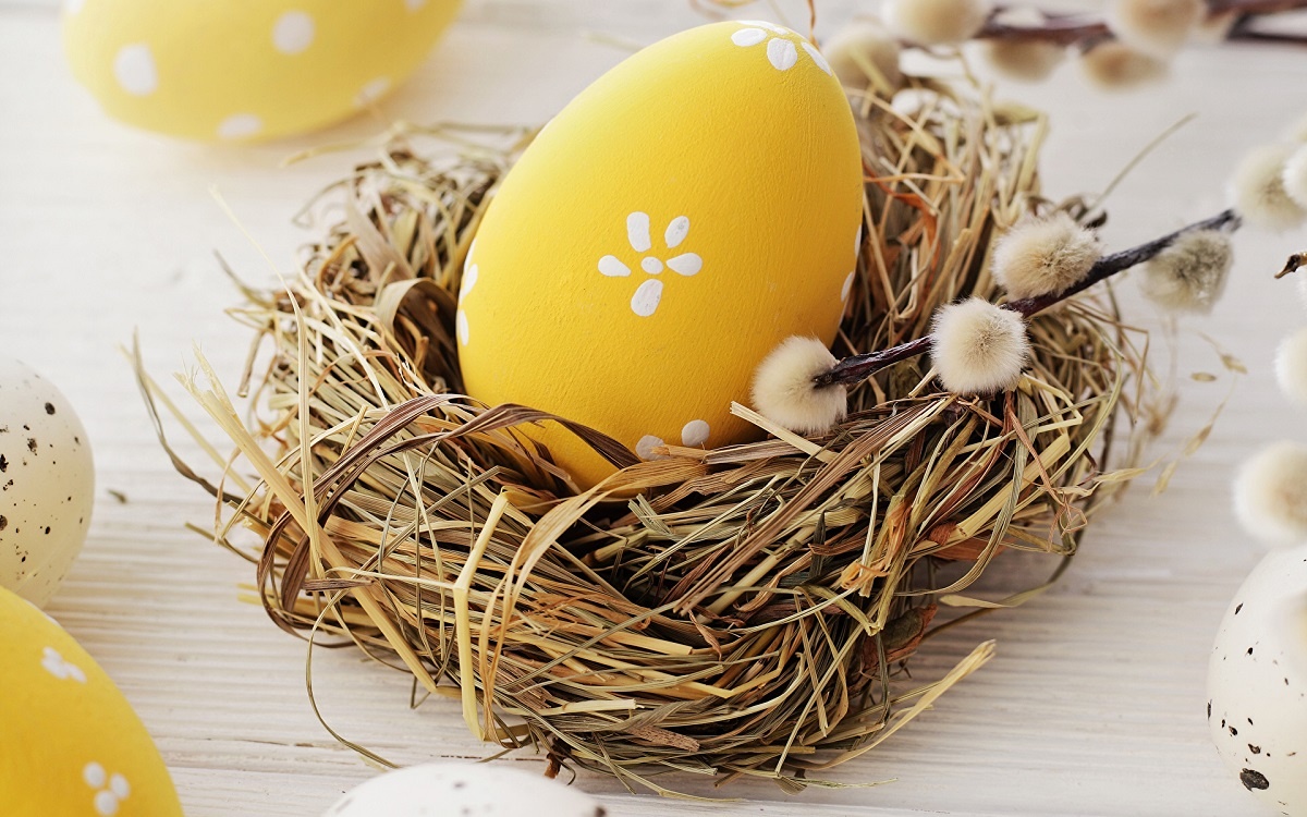 Фото взято из общего доступа