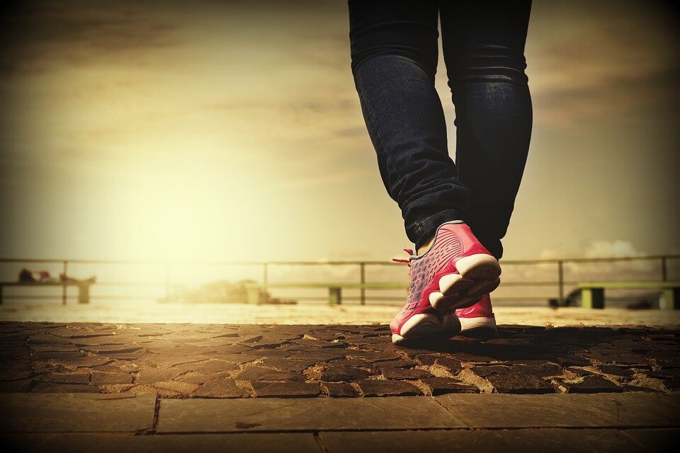 источник фото - https://clck.ru/UNMsQ