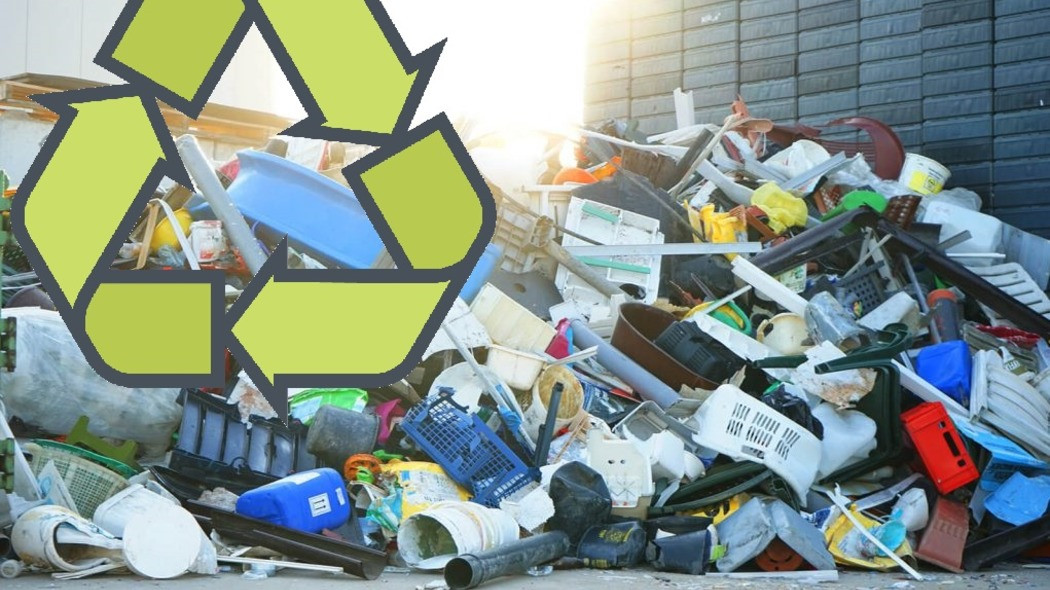 100 жуков съедают более 500 миллиграммов пластика за 10–12 часов 
