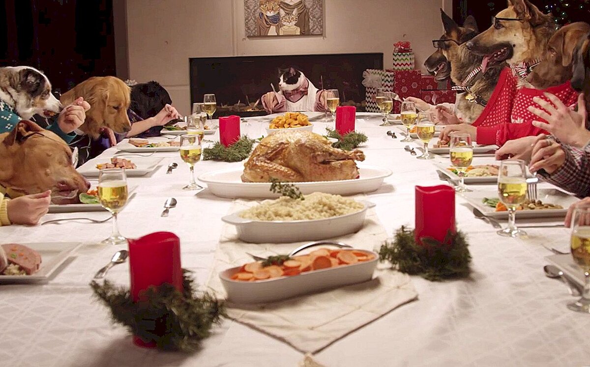 Коты за праздничным столом