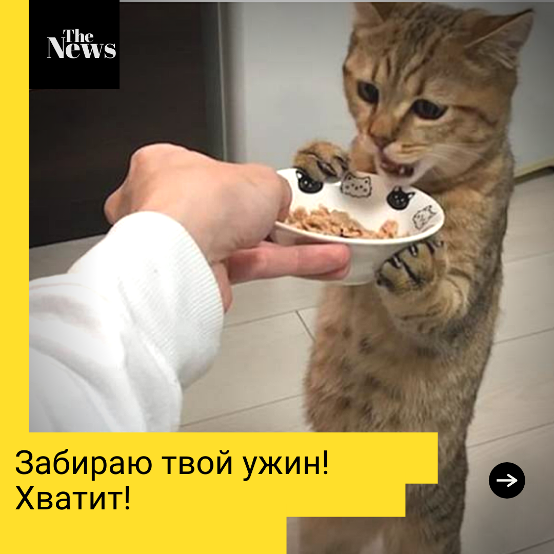 Теперь это принадлежит мне!
