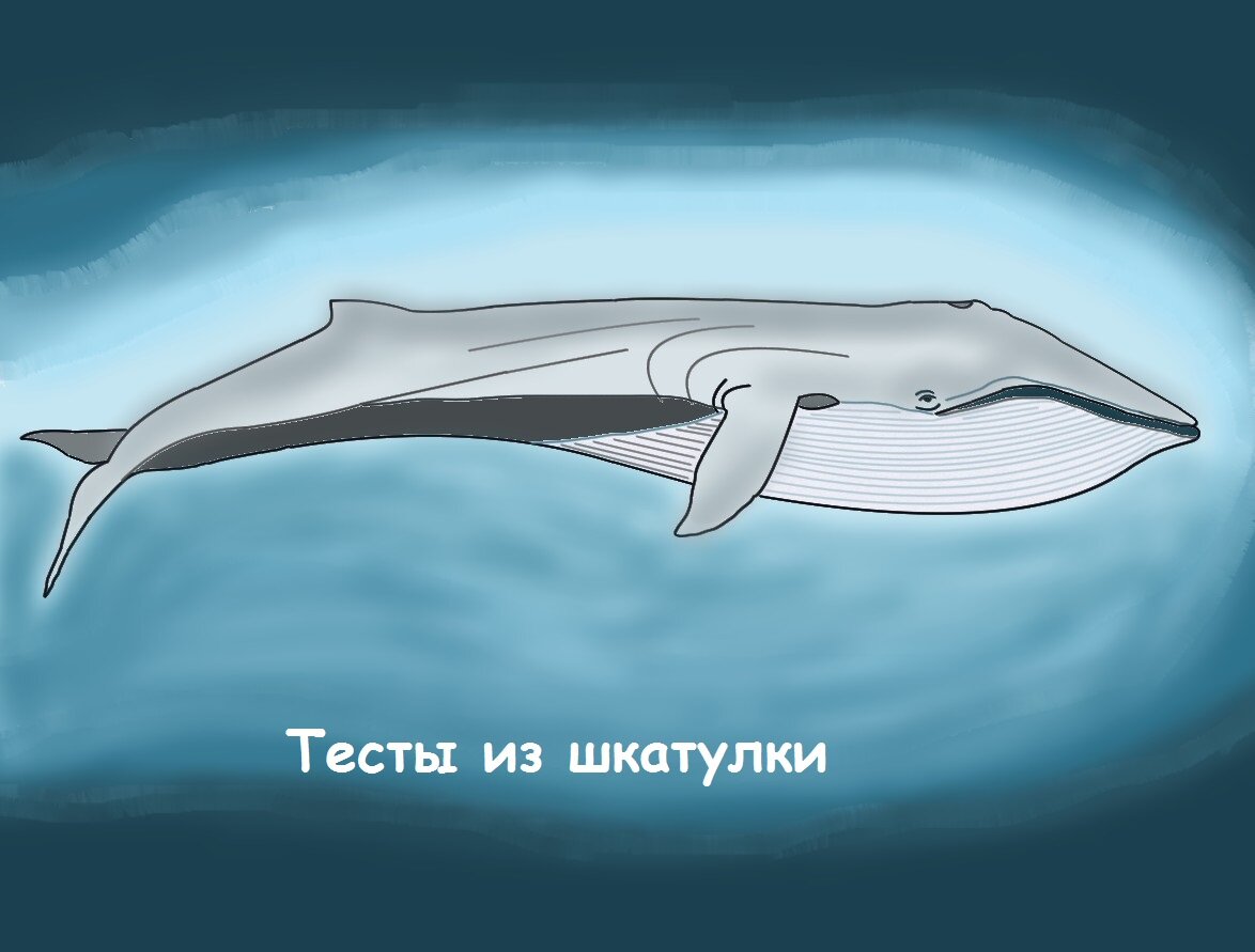 Рисунок автора