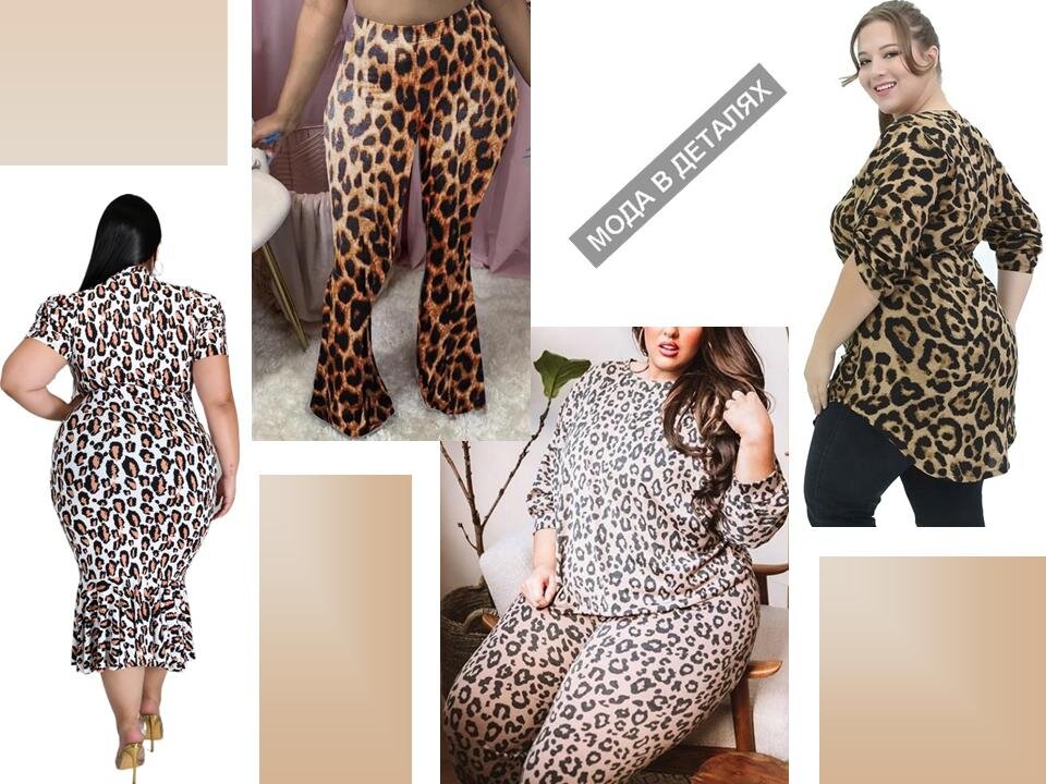 Фотографии из свободного доступа