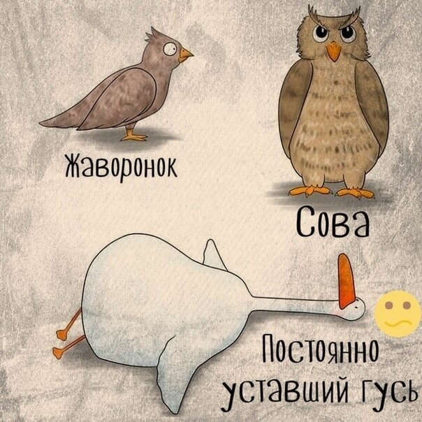 Теперь я превратилась в гуся.