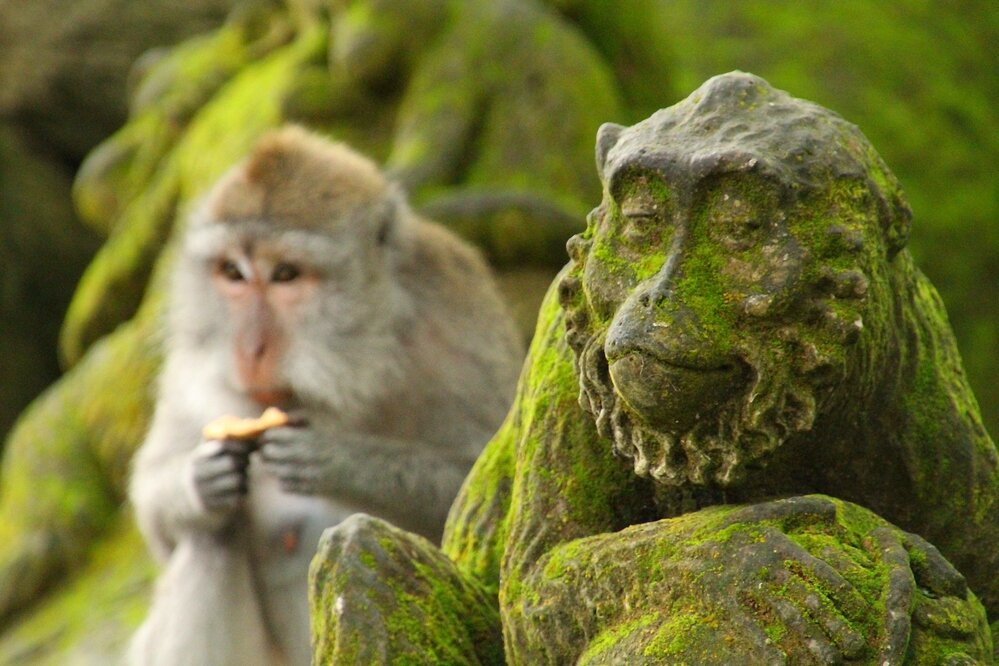 фото из свободного источника