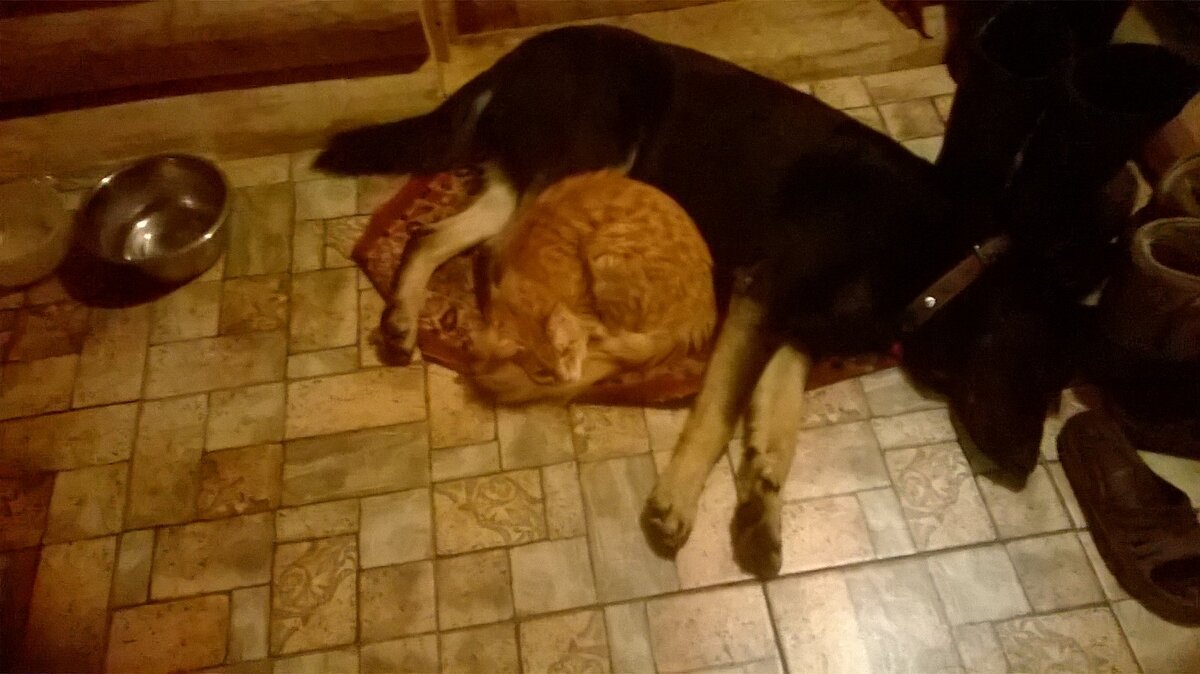 В тесноте, да не в обиде!