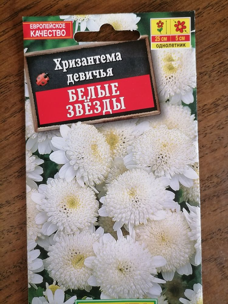 Семена хризантемы девичьей 