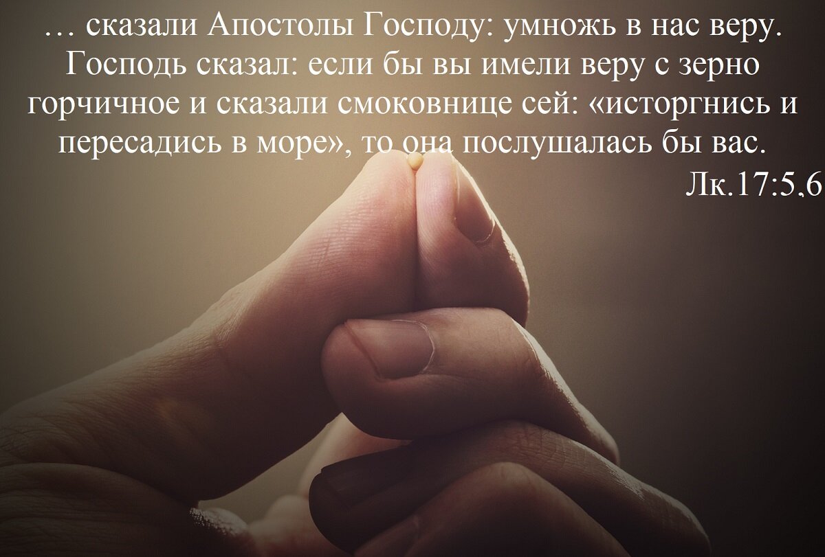 Все Священное Писание говорит о вере и учит, что только верой можно угодить Богу.