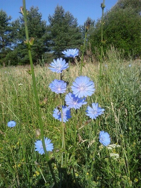 На поле. Фотография