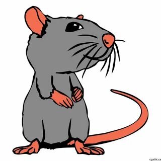 Рисунок для иллюстрации взят с сайта  яндекс-картинки