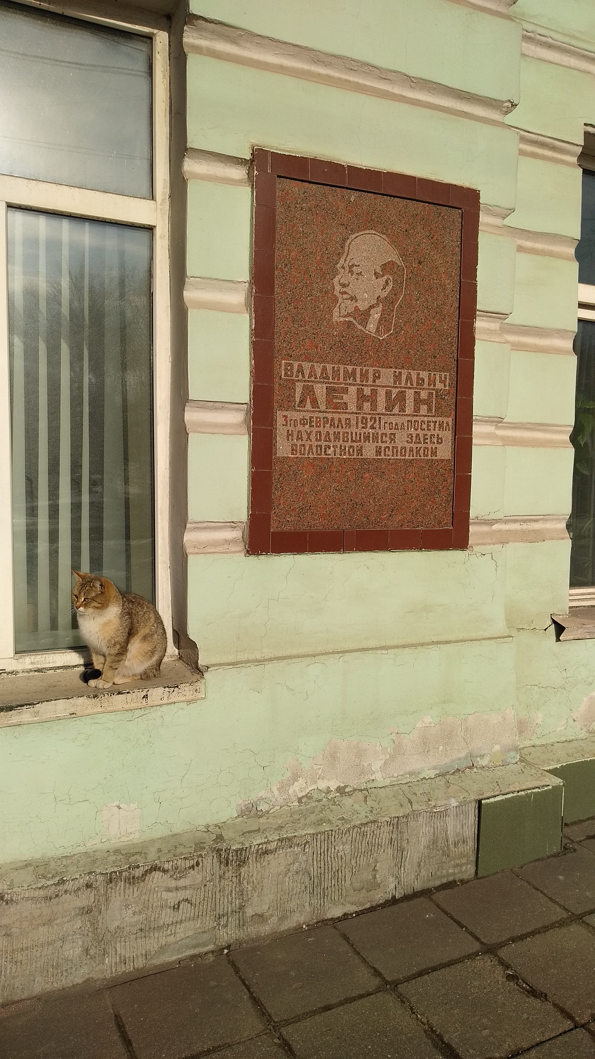 Котики России.))11