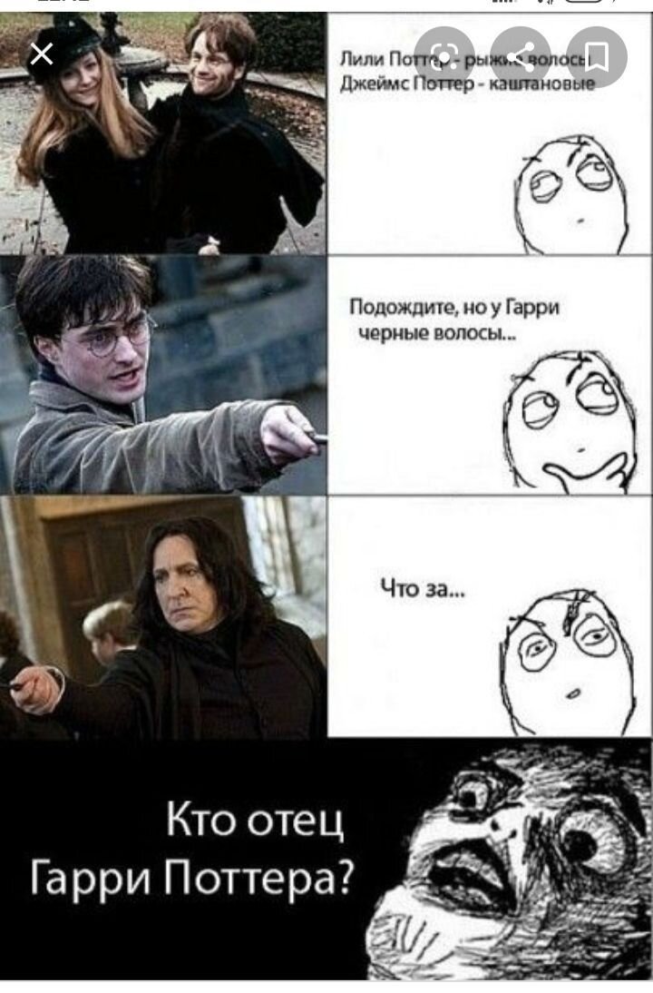 быстро под стол поттер