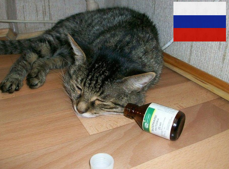 Фото взято с личного архива