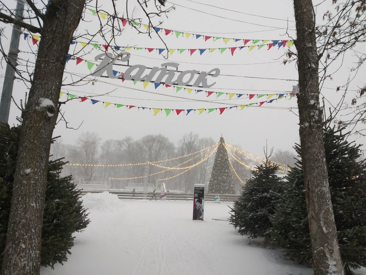 кирова. каток цпкио елагин. парк имени кирова санкт-петербург каток. малый каток цпкио в санкт петербурге. большой каток цпкио санкт-петербург.