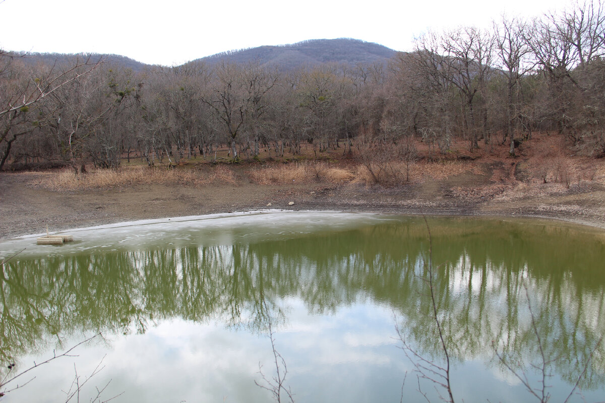 Пруд скорее пуст