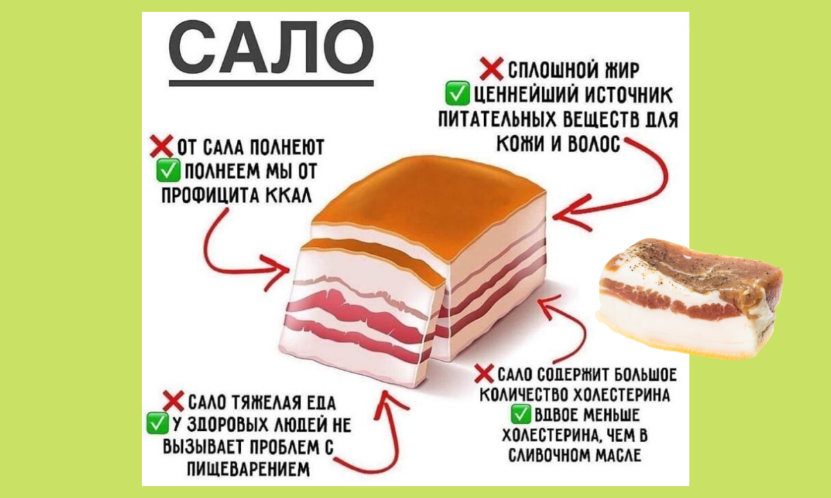 Сало калорийность на 100 грамм соленое свиное. Мифы о Сале. Сало свиное калорийность на 100. Кусочек сала калорийность.