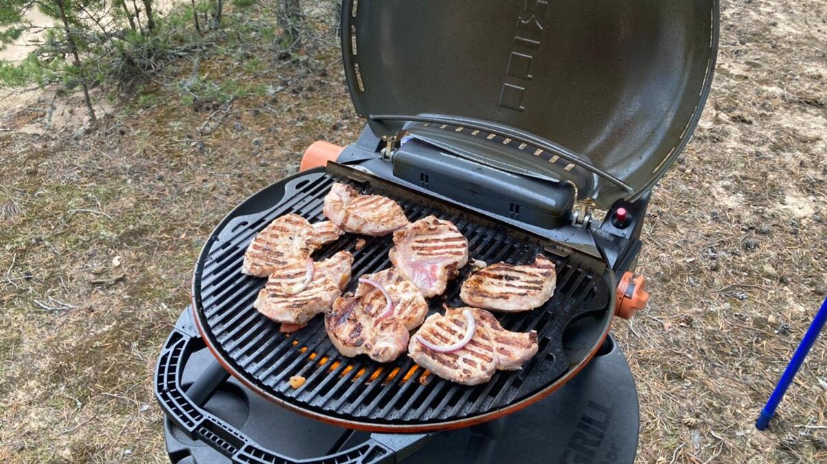 Газовый гриль для барбекю. Личный опыт использования на примере O-Grill. В  конце промокод на скидку. | Путешествия с Сыркиным | Дзен