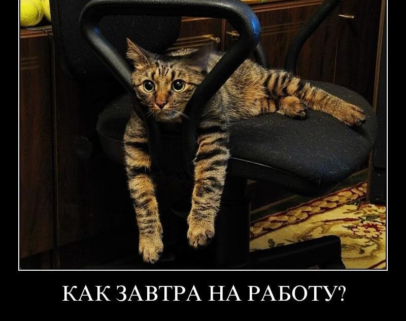 Какой сегодня праздник – 23 феврал?