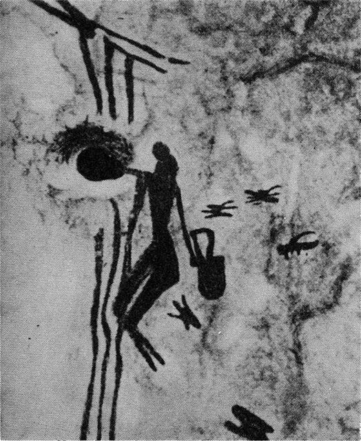 Наскальный рисунок. Добыча мёда